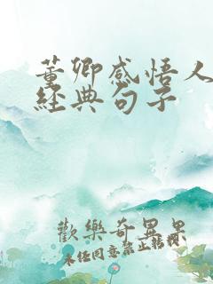 董卿感悟人生的经典句子