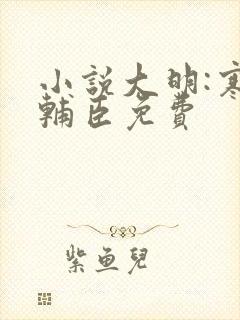 小说大明:寒门辅臣免费