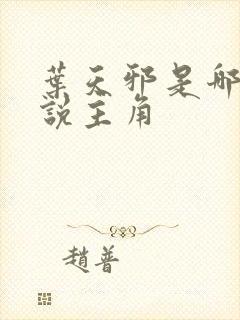 叶天邪是哪部小说主角