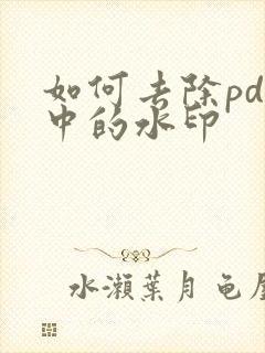 如何去除pdf中的水印