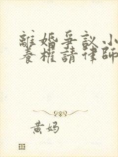 离婚争议小孩抚养权请律师要多少钱
