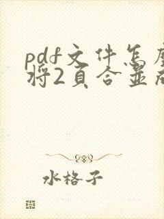 pdf文件怎么将2页合并成一页打印