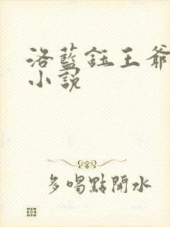 洛蓝钰王爷穿越小说