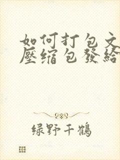 如何打包文件成压缩包发给别人