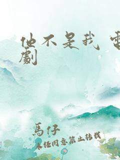 他不是我 电视剧