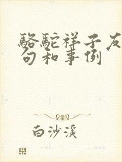 骆驼祥子友情好句和事例