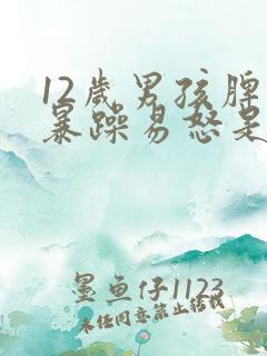12岁男孩脾气暴躁易怒是什么原因
