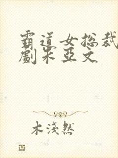 霸道女总裁电视剧朱亚文