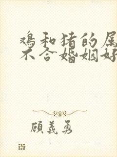 鸡和猪的属相合不合婚姻好吗