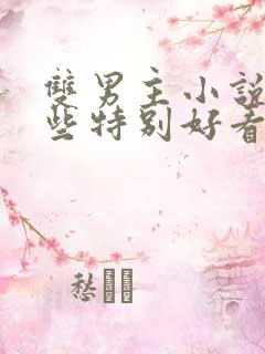 双男主小说有哪些特别好看的