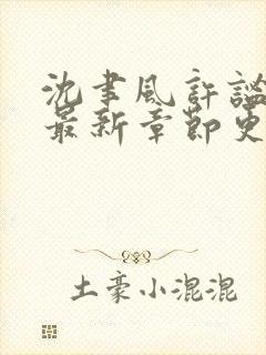 沈聿风许谧小说最新章节更新内容