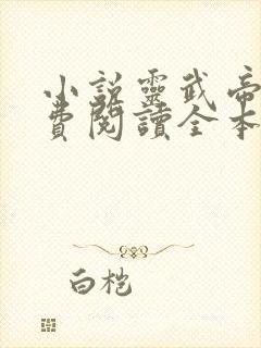 小说灵武帝尊免费阅读全本小说
