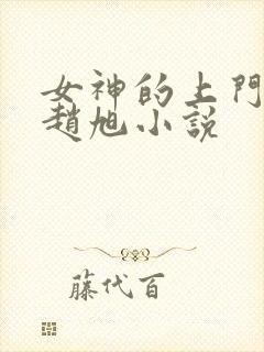 女神的上门豪婿赵旭小说