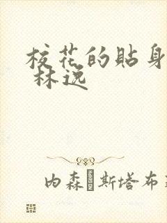 校花的贴身高手 林逸