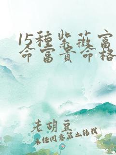 15种紫薇富贵命富贵命格