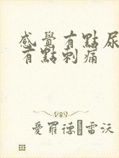 感觉有点尿不尽有点刺痛