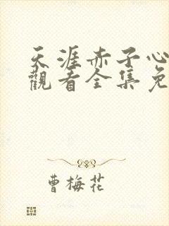 天涯赤子心在线观看全集免费播放