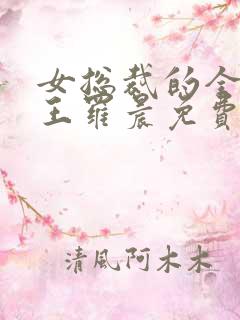 女总裁的全能兵王罗晨免费