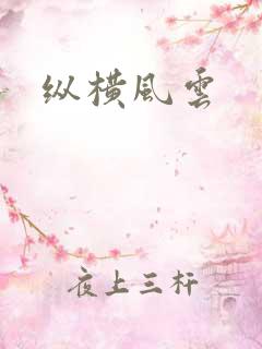 纵横风云