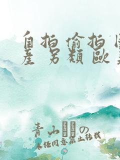 自拍 偷拍 国产 另类 欧美