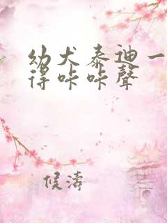 幼犬泰迪一直咳得咔咔声
