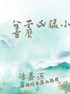 公子凶猛小说好看么