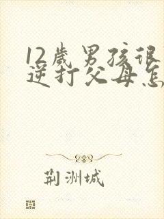 12岁男孩很叛逆打父母怎么办