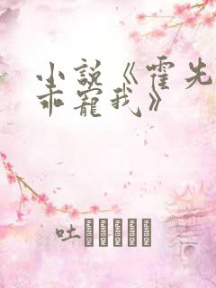 小说《霍先生乖乖宠我》