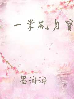 一掌风月宝鉴