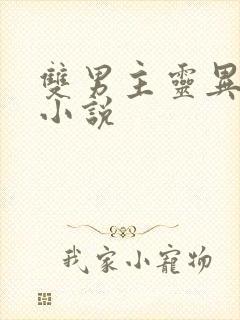 双男主灵异玄幻小说