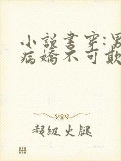 小说书穿:男主病娇不可欺txt
