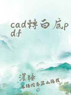 cad转白底pdf