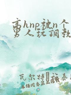 高hnp被n个男人玩调教