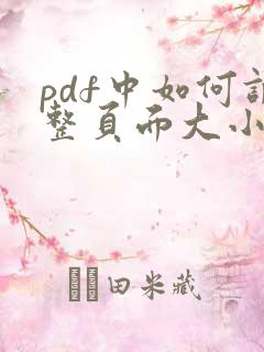 pdf中如何调整页面大小