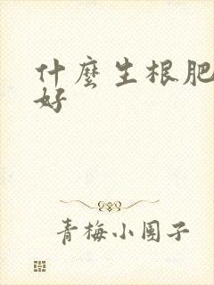 什么生根肥口碑好