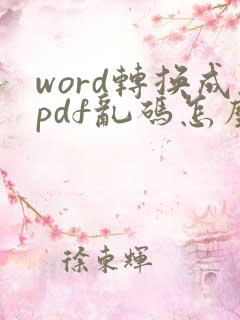 word转换成pdf乱码怎么办