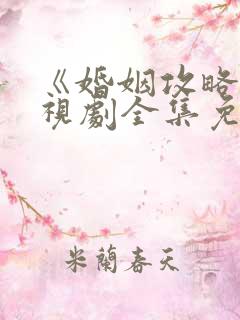 《婚姻攻略》电视剧全集免费观看