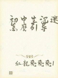 初中生沉迷游戏怎么引导