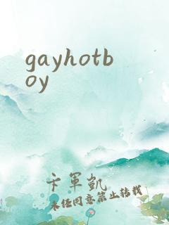 gayhotboy