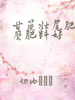 甘蔗壮尾肥施什么肥料好