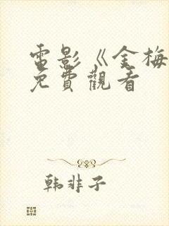 电影《金梅瓶》免费观看