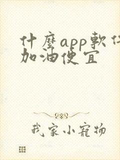 什么app软件加油便宜