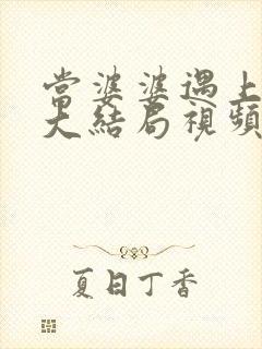 当婆婆遇上的妈大结局视频