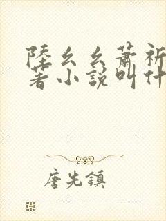 陆幺幺萧祈之原著小说叫什么