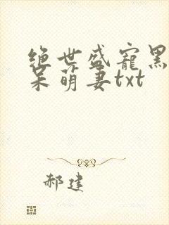 绝世盛宠黑帝的呆萌妻txt