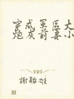 穿成军区大佬的炮灰前妻小说