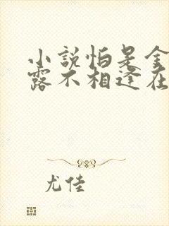 小说怕是金风玉露不相逢在线阅读