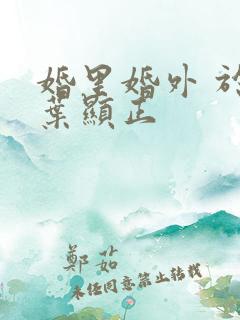 婚里婚外 于鑫叶显正