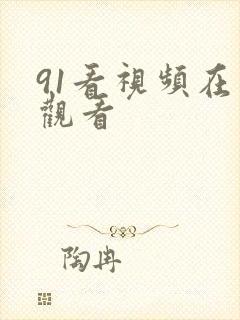 91看视频在线观看