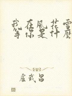 我在风花雪月里等你是什么小说